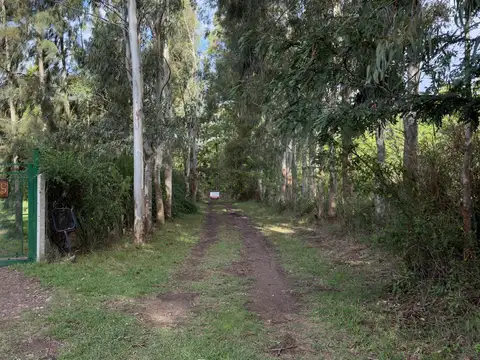 Terreno en Venta en Arturo Seguí, USD 55.000