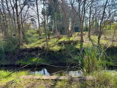 Terreno en Venta en Arturo Seguí, USD 55.000