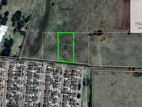 Vélez Sársfield, 100