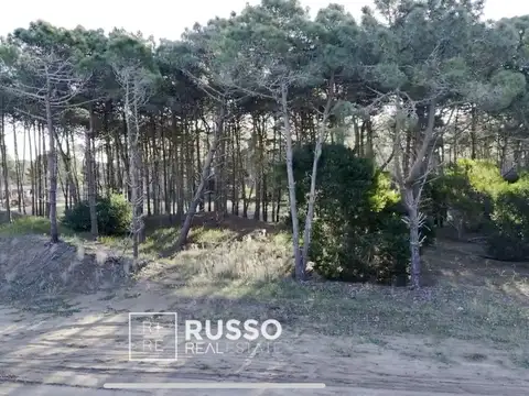 Bosques Pinamar Norte 5000