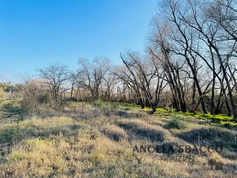 Ruta 8 Km 80, Puente Fierro.