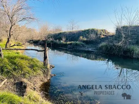 Hermoso Campito de dos hectareas.