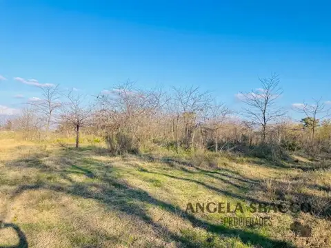 Ruta 8 Km 80, Puente Fierro.