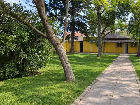 Mario Bravo 1300
