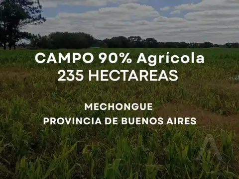 FINA PATAGONIA. Campo en venta de 2350000m2 ubicado en Mechongué