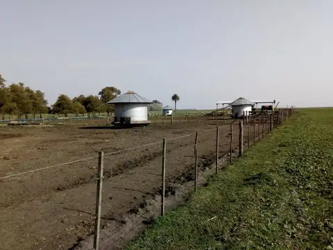 FINA PATAGONIA. Campo en venta de 2350000m2 ubicado en Mechongué