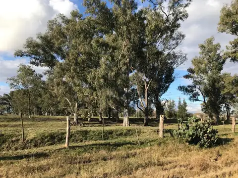 Venta Lote en Ingeniero Maschwitz Escobar