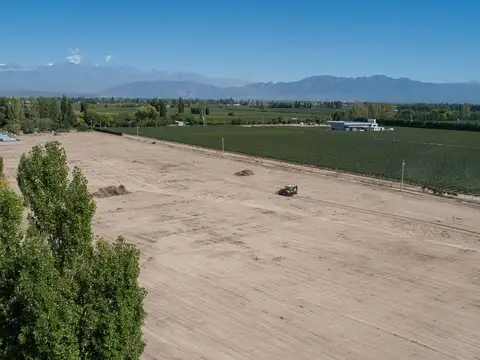 Terreno en Venta de 310,0 m2