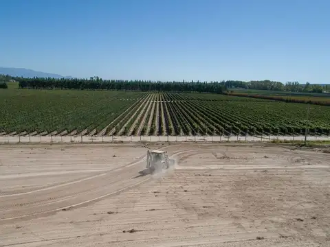 Terreno en Venta de 310,0 m2