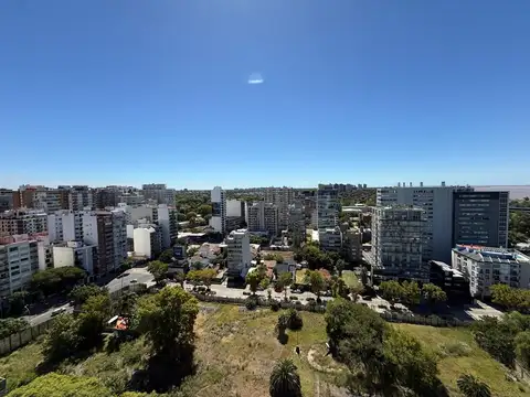 Sturiza 452 , Piso 17