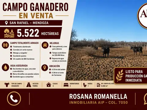 Campo - Punta De Agua