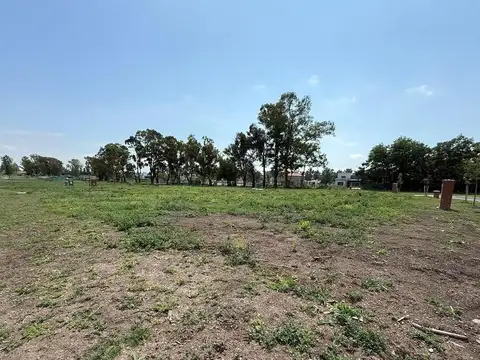 J449+VF, B1631 Zelaya,