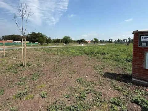 Terreno Lote  en Venta en Santa Sofía, Pilar del Este, Pilar