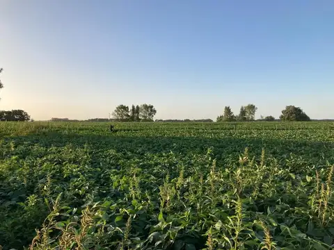 Campo en venta de 300000m2 ubicado en Balcarce