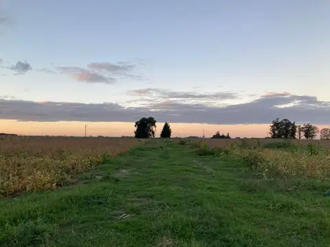 Campo en venta de 300000m2 ubicado en Balcarce