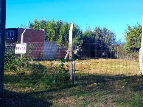 Terreno en Venta 40  mts Fondo
