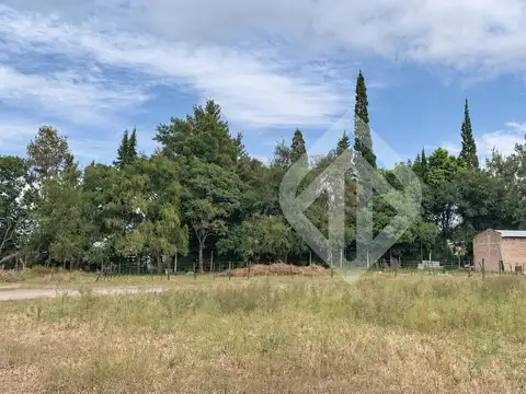 Finca 5ha 300 en La Isla | Salta