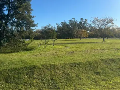Ruta 6 km 155