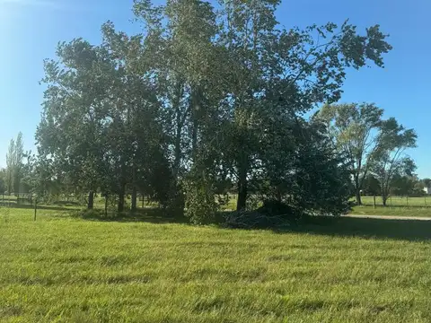 Terreno en Venta 66  mts Frente