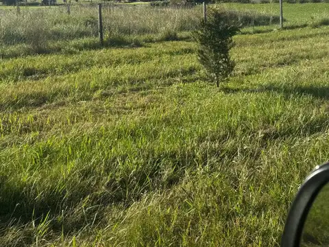 Terreno en Venta de 10012,0 m2