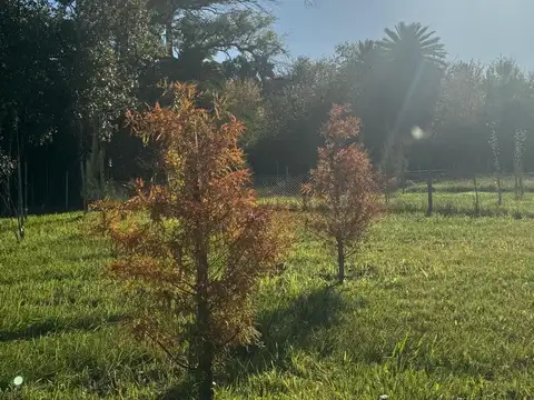 Terreno en Venta 142  mts Fondo