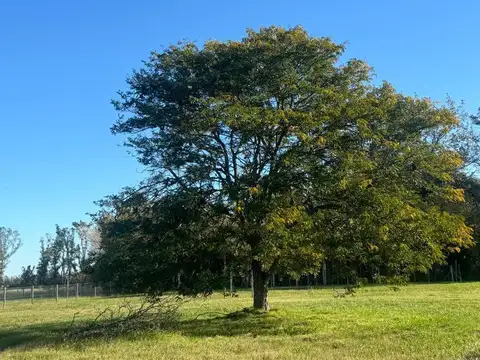 Ruta 6 km 155