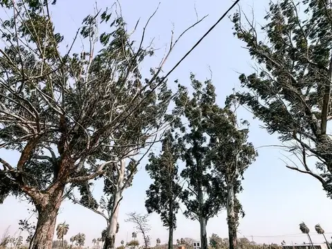 Terreno en Venta de 1000,0 m2