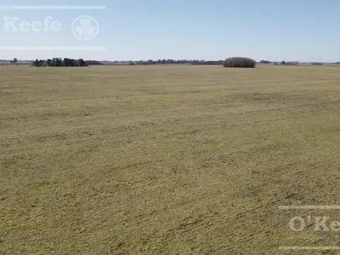 Campo de 400 has en venta en  Chivilcoy - Agricola