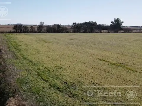 Campo de 400 has en venta en  Chivilcoy - Agricola