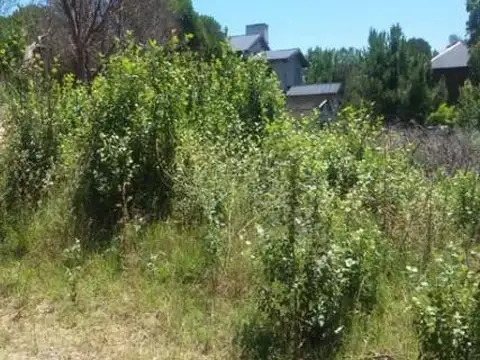 Terreno en Venta 15  mts Fondo