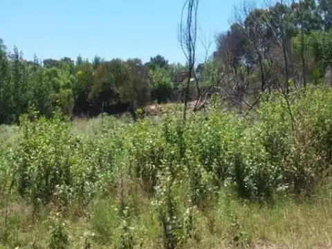 Terreno en Venta de 562,0 m2
