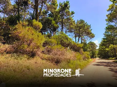 Lote en venta en Carilo