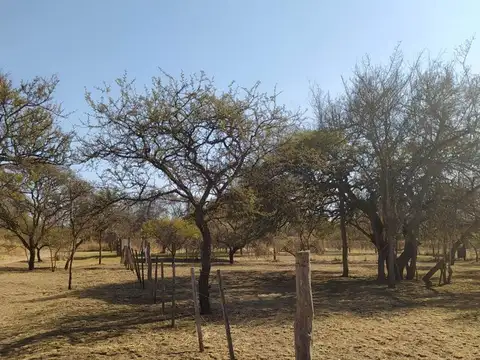 Terreno en Venta de 532,0 m2