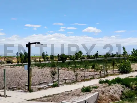 Century 21 López vende Lote en Tupungato Valley