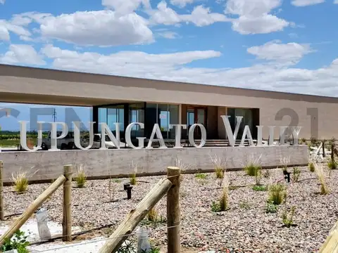 Terreno en Venta en Countries y Barrios Cerrados en Tupungato, USD 59.000