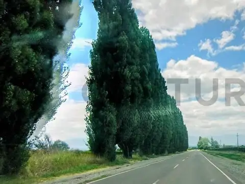 Terreno en Venta de 1000,0 m2