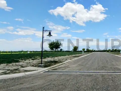 Terreno en Venta 25  mts Frente