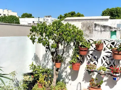 Gregoria Pérez al 3300