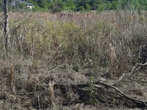 Terreno en Venta de 517,0 m2