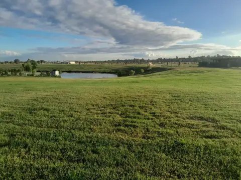 Terreno en Venta de 1039,0 m2