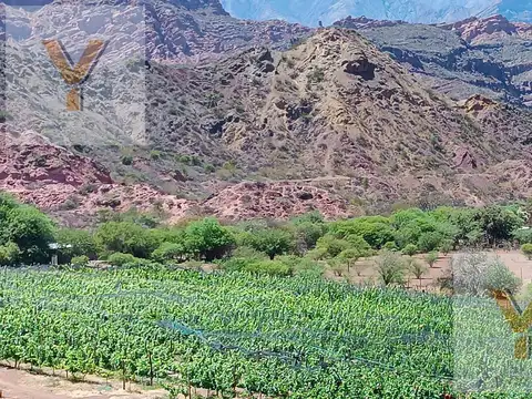 Ruta Nacional 68 - KM 66