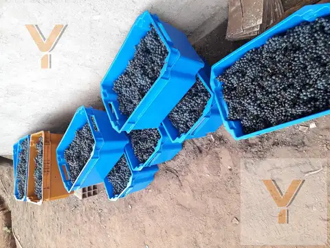 Oficina en Venta A Estrenar