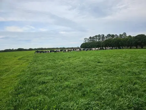Tambo Establecimiento La Taberna