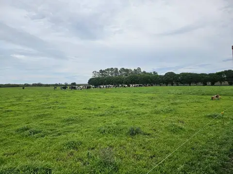 Tambo Establecimiento La Taberna
