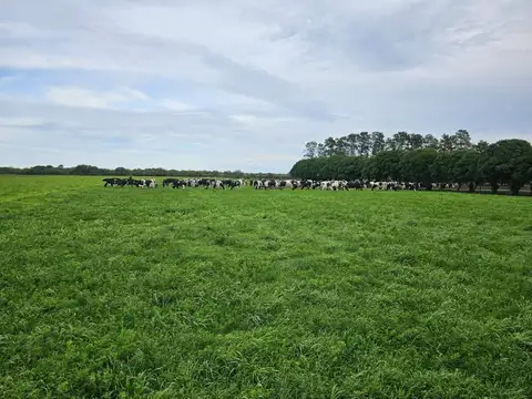 Tambo Establecimiento La Taberna - Viale - Tranquera cerrada