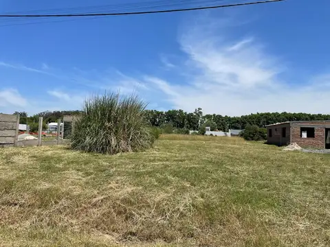 Terreno en venta en el departamento de Colonia, Uruguay.