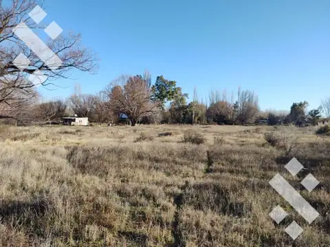 Quinta en Venta en China Muerta, USD 55.000