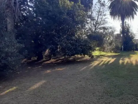 3 lotes  de 10x 35 c/u en venta a metros de plaza malvinas  - La Plata