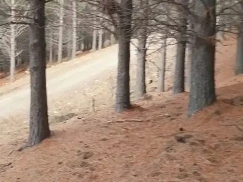 Ruta Nacional 40 km 2200