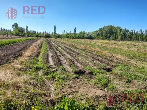 Chacra en Guerrico- Roca